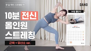 근력 UP 체지방 DOWN 가성비 갑🔥 10분 전신 올인원 스트레칭 [Eng/전신 다이어트 운동]  @DanoTV    | 다노티비