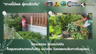 plant for good บ้านโสกน้ำขุ่น ตำบลโนนสำราญ 1