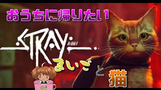 迷子の猫と私の珍道中　[Stray]　＃１