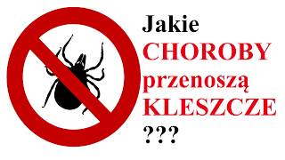 Jakie CHOROBY przenoszą KLESZCZE