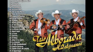 Trio Alborada Hidalguense Mix