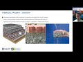 Permeable Pavement Training iSWM 12 9 2021