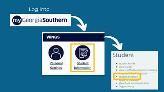 Finding (and Understanding) Your Schedule in WINGS Video
