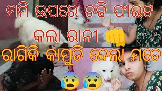 ଘରେ ଜୋର୍ ଦାର୍ ସେ ହେଲା ଫାଇଟ୍ 👊😰👊😰