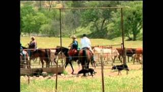 Ranching in California