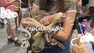 reptile expo in west palm beach (vlog 96)