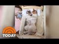 Inseparable Cat Siblings Love To Cuddle While Sleeping | TODAY