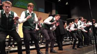 HIB.art.ensemble | Landesjugendsingen 2017 STMK/Weiz