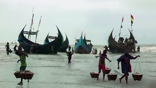 কক্সবাজারের শামলাপুরে সাগরপাড়ে মাছ নিয়ে জেলেদের হুলস্থুল কান্ড || Panorama Documentary