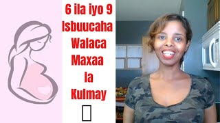 Uurka 6 ila iyo 9 isbuucaha waxaan la kulmay| Walaca Uurka