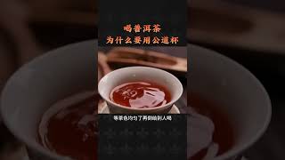 喝普洱茶時，為什麽要用公道杯？喝茶有講究，喝茶步驟，wechat：zcj049#召喚茶友 #喝茶 #普洱茶