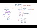 influenza drift and shift negative rna and the segmented genome