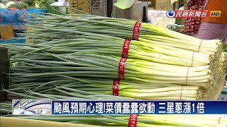 颱風預期心理！菜價蠢蠢欲動 三星蔥漲1倍－民視新聞