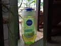 nivea shower gel lemon u0026 oil🍋🛢️ shorts shower nivea bodywash makeup skincare trending skin