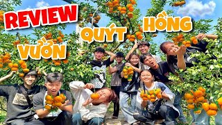 Anh Ba Phai | Đại Náo Vườn Quýt Hồng Đồng Tháp 🍊🍊🍊