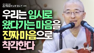 우리는 임시로 왔다가는 마음을 진짜 마음으로 착각한다 | 법상스님의 증도가 35회(18-1) | 분별 세상 깨달음 집착 고통 지혜 행복 현실 존재 인연 소통 삶