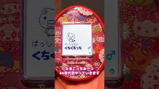 【46世代目】 自分だけのたまごっちを育成！ #たまごっち  #tamagotchi #サンリオ #sanrio #みーつ #Meets #on