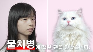 불치병에 걸린 팬이 마지막으로 남긴 한마디 | 고양이산책