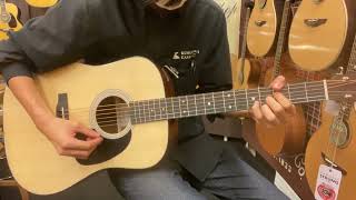 Martin D-12E Sapele