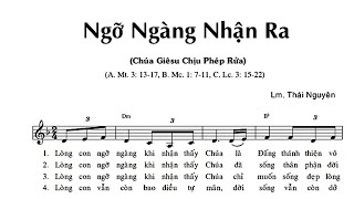 Ngỡ Ngàng Nhận Ra || Lm. Thái Nguyên ( Hiệp Lễ Chúa Chịu Phép Rửa Năm A, B, C )