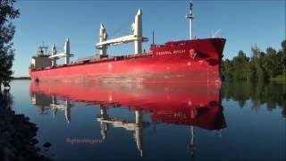 Ship FEDERAL BISCAY approaches Lock 2,  Welland Canal 2016