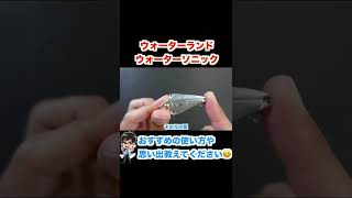 ウォーターランドのウォーターソニック【 バス釣りオールドルアー 】