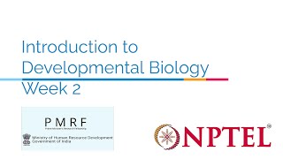 Introduction to Developmental Biology Week 2