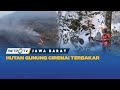 151 Hektare Lahan Hutan Gunung Ciremai Terbakar