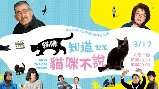 【大愛影展】預告 - 貓咪知道但是貓咪不說｜Only The Cat Knows - 20240317