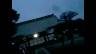 CIMG0008ムカシオナガザル　20220110　古河市　正定寺