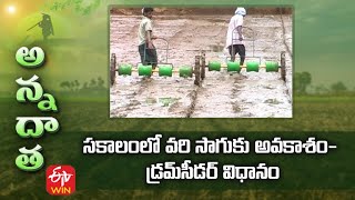 Drumseeded Paddy Cultivation | సకాలంలో వరి సాగుకు అవకాశం  డ్రమ్‌సీడర్‌ విధానం | ETV