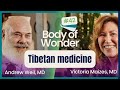 Body of Wonder - Philosophies of Tibetan Medicine with Leslie Blackhall, MD