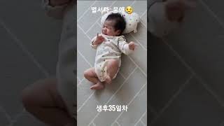 생후35일차 벌서다가 우는 쪼꼬