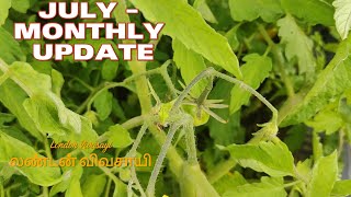 ஜூலை மாத தோட்ட வளர்ச்சி | லண்டன் விவசாயி | Gardening Progress in July | London Vivasayi #visitlondon