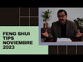 Feng Shui Tips - Estrellas Voladoras Noviembre 2023, Cerdo de Agua