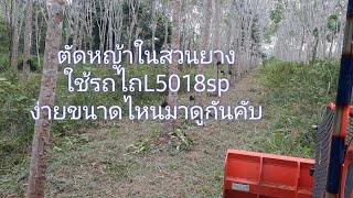 ตัดหญ้าในสวนยางใช้รถไถ L5018sp ง่ายขนาดไหนมาชมกันคับ