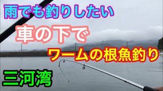 三河湾 車の下でワームの根魚釣り 雨でも釣りしたい