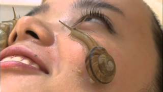 Inside Thailand's Snail Spa where gastropods 'massage' your face with their mucus in acne-fighting