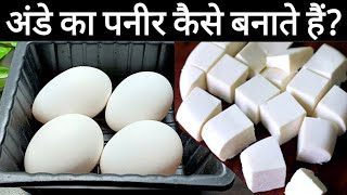 अंडे का पनीर बनाने का इतना आसान तरीका आपने पहले कभी नही देखा होगा | Ande ka paneer | Egg paneer reci