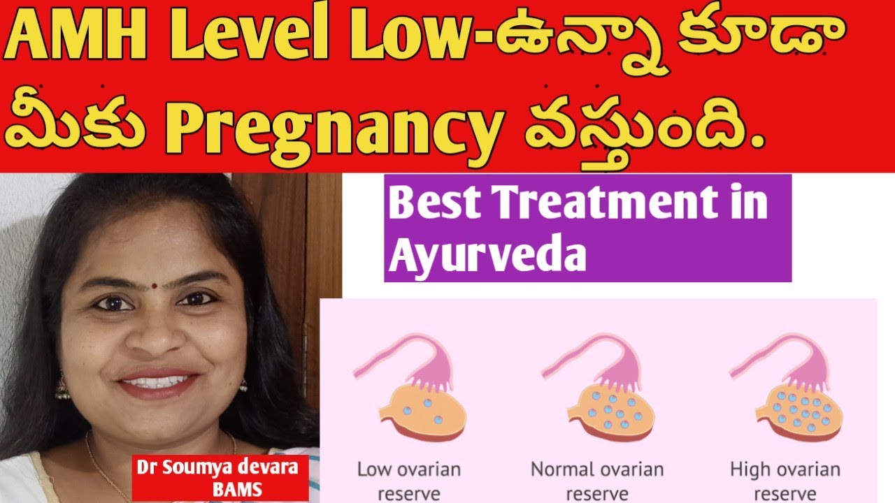 LOW AMH Level -Below 1- How To Get Pregnant Naturally With Ayurvedic ...