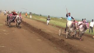 महाराष्ट्रातील नामवंत बैल मैदानात आल्यापासून जाताना परियंतचा क्षण नक्की पहा आणि शर्यतीचा आनंद घ्या