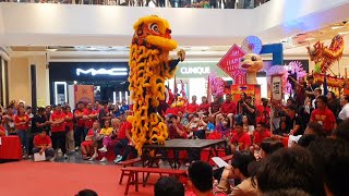 1st LION DANCE COMPETITION 2025 🦁 Group 2 - Phil. Tong Sheng Dragon \u0026 Lion Dance Sports Association