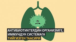 Антибиотиктердин организмге, иммундук системага тийгизген таасири