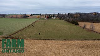 465107 Curries Rd, Woodstock ON | Farms For Sale In Ontario