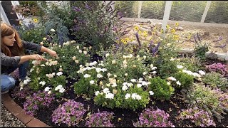 Garden Maintenance Around the Chicken Coop! 🌿 // Garden Answer