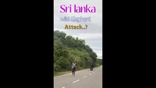 wild elephant attack in sri lanka | Don't do this 🚯❗| Elephant attck