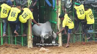 Mukkanipatti Jallikattu Videos 2024 | முக்கானிபட்டி ஜல்லிக்கட்டு 2024