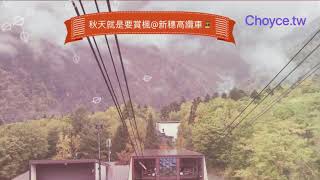 來日本中部搭纜車賞楓@新穗高山岳