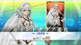 Fate Grand Order Saber Altera's First Ascension