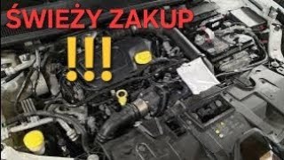 ŚWIEŻY ZAKUP RENAULT MEGANE !! WŁAŚCICIEL MYŚLAŁ ZE COS DZWONI W SILNIKU!! USTERKA OKAZAŁA SIE...